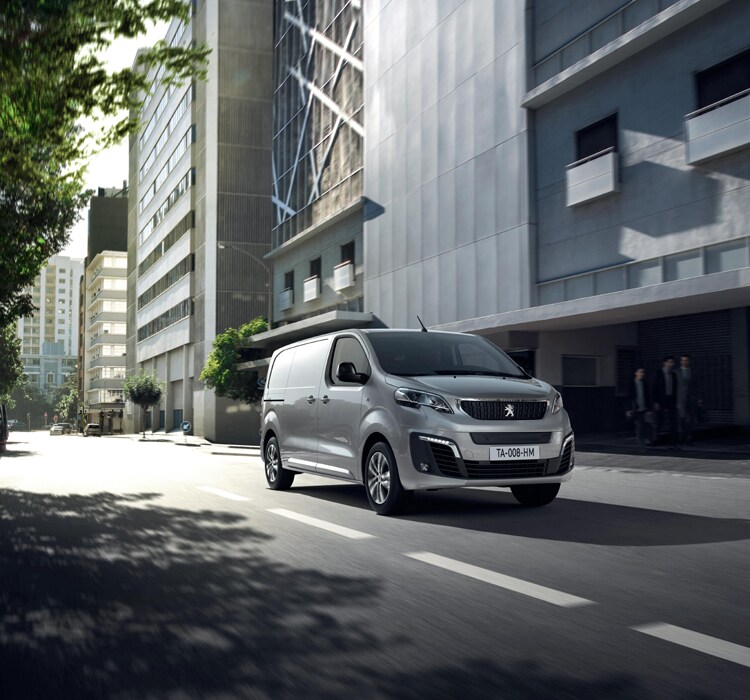 OUR ELECTRIC VEHICLES FOR BUSINESS USERS