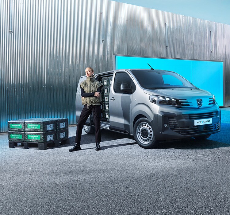 Peugeot expert auto sales